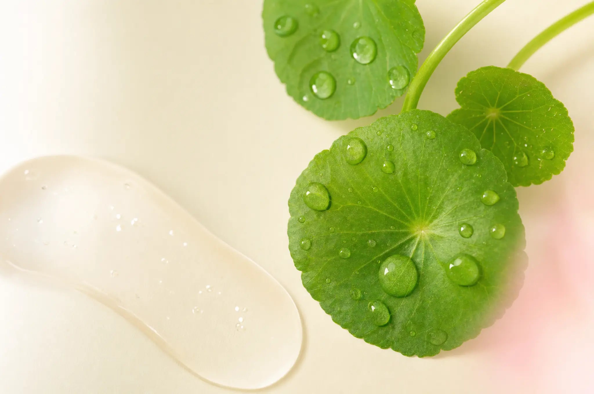 Cica and Niacinamide